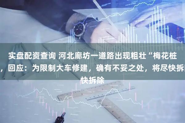 实盘配资查询 河北廊坊一道路出现粗壮“梅花桩”，回应：为限制大车修建，确有不妥之处，将尽快拆除