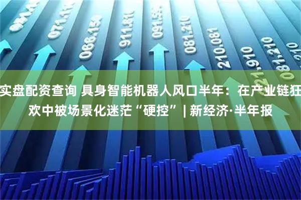 实盘配资查询 具身智能机器人风口半年：在产业链狂欢中被场景化迷茫“硬控” | 新经济·半年报