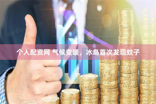 个人配资网 气候变暖,冰岛首次发现蚊子