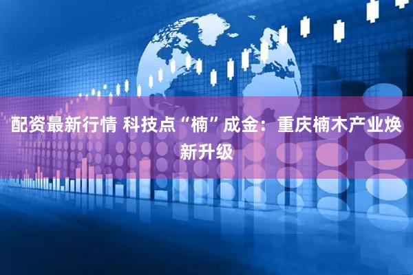 配资最新行情 科技点“楠”成金：重庆楠木产业焕新升级