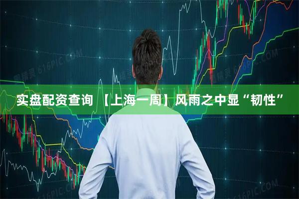 实盘配资查询 【上海一周】风雨之中显“韧性”