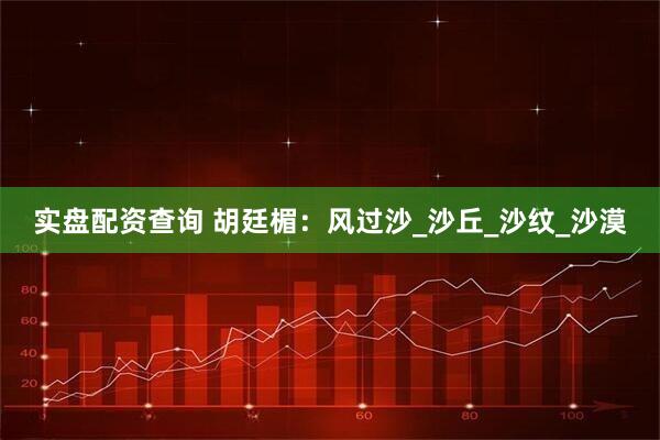 实盘配资查询 胡廷楣：风过沙_沙丘_沙纹_沙漠