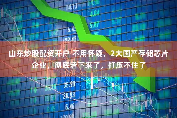 山东炒股配资开户 不用怀疑，2大国产存储芯片企业，彻底活下来了，打压不住了